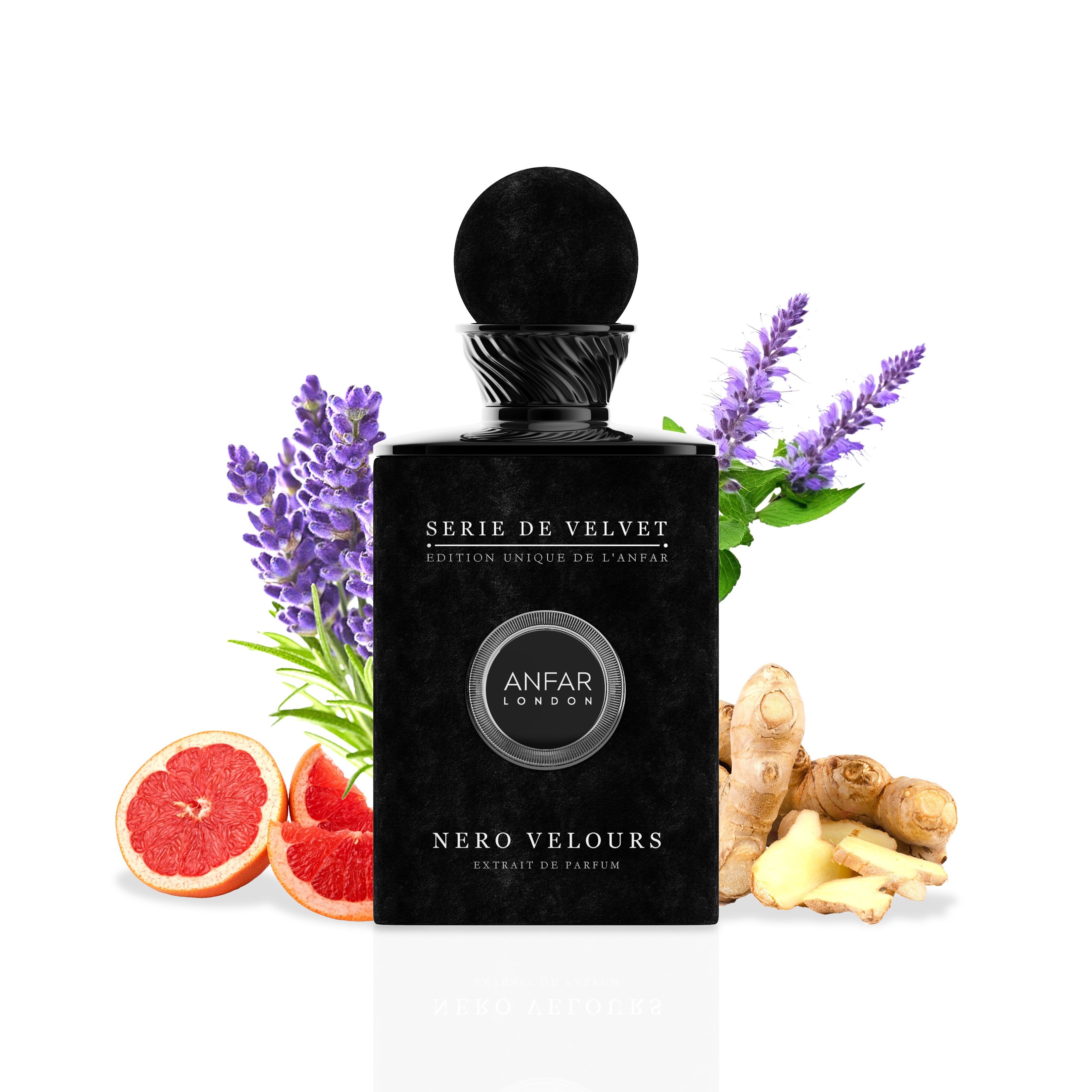 Velvet Nero Velours 100ml EDP