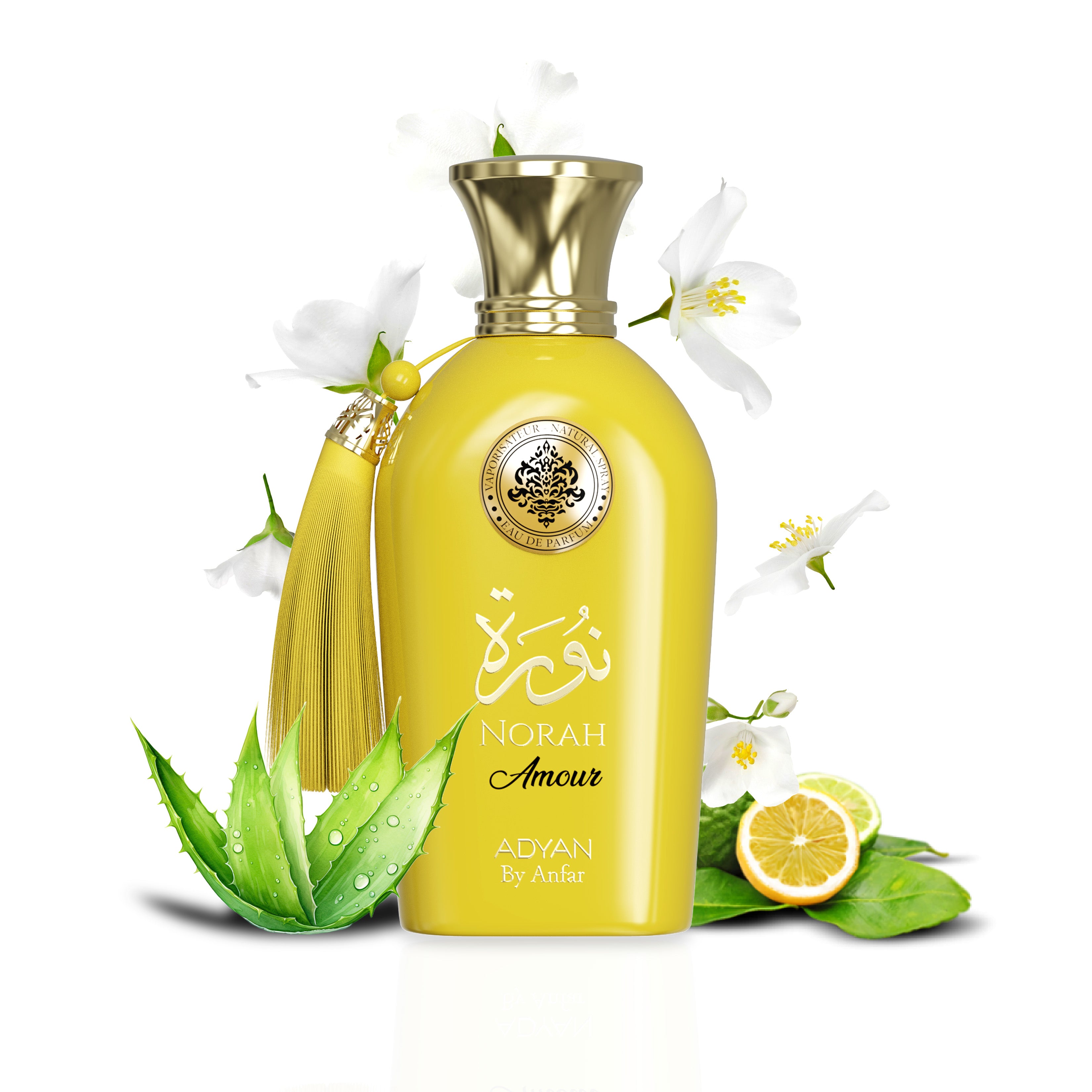 Norah Amour EDP 100ml